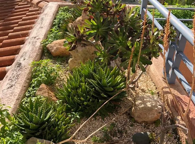 Apartmán Schoenes 3 Apartment, Meerblick, Pool, Freies Wlan